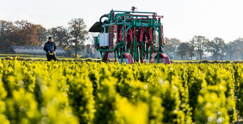 Milieubewuste teelt bij Boomkamp Kwekerijen