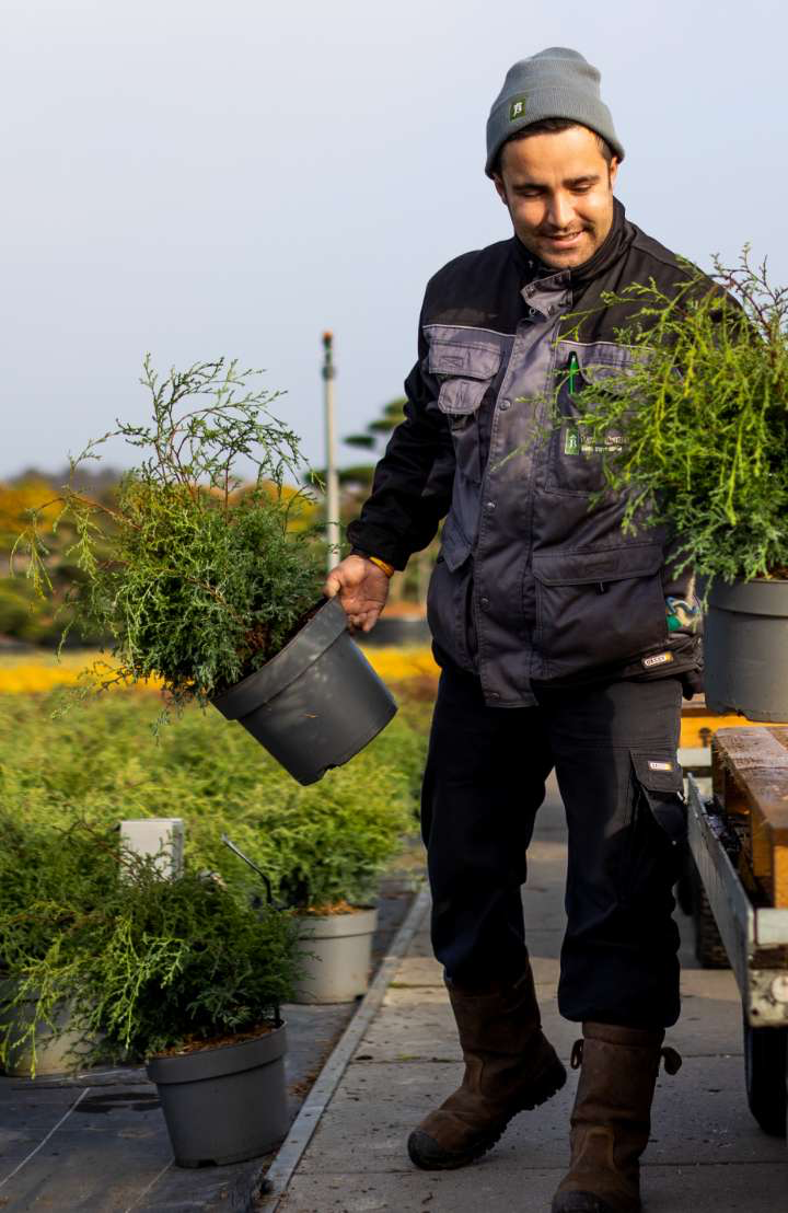Person wearing a beanie and work clothes, carrying two potted plants in an outdoor setting with other plants and trees in the background.