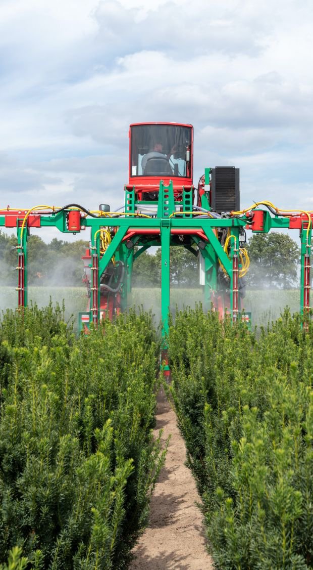 Milieubewuste teelt bij Boomkamp Kwekerijen